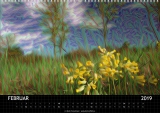 Kalender 2019 Deep Dreaming (2)